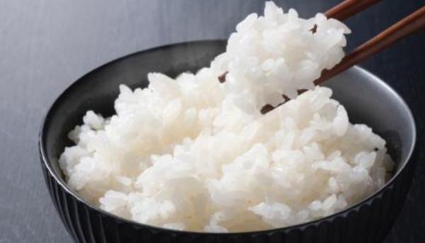 باحثون صينيون يطورون أرزاً غنياً بالبروتين بتقنية زراعة اللحوم