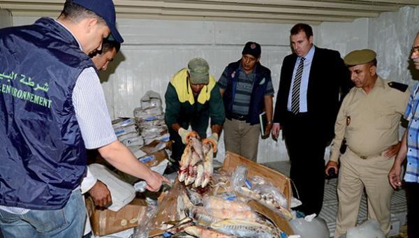 المغرب يعلن الحرب على الأسماك الصينية الفاسدة بعد اعتقال مواطن اسباني