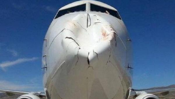 طائر يصطدم بمقدمة طائرة الخطوط الجوية التركية ويسبب لها أضرارا