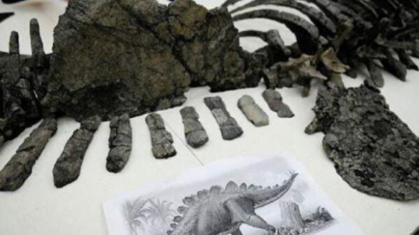 كنز تاريخي...علماء يعثرون بجبال الأطلس على أقدم ديناصور في العالم