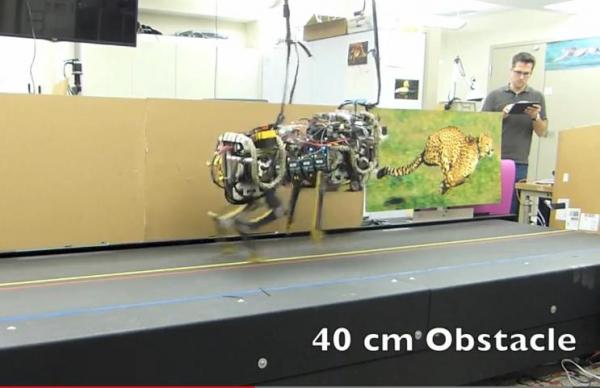 بالفيديو: لن تصدق قدرة "الروبوت الفهد" على القفز