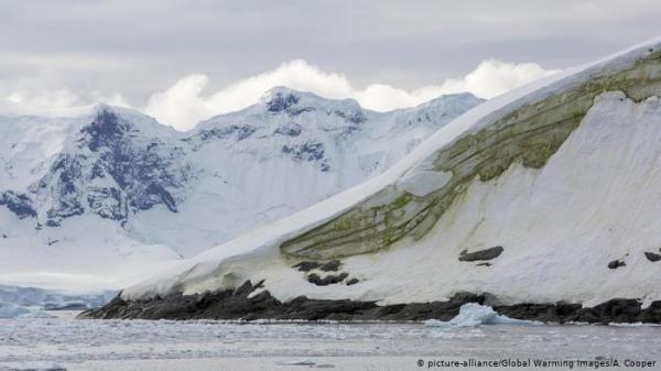 ما سر ظهور ثلج ”أخضر“ بالقارة القطبية؟