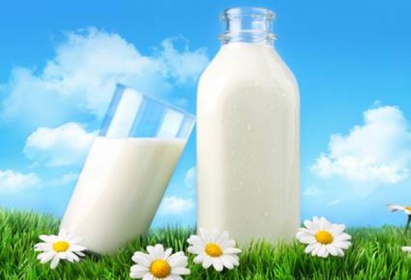 دراسة: كوب من الحليب يوميا لصحة القلب