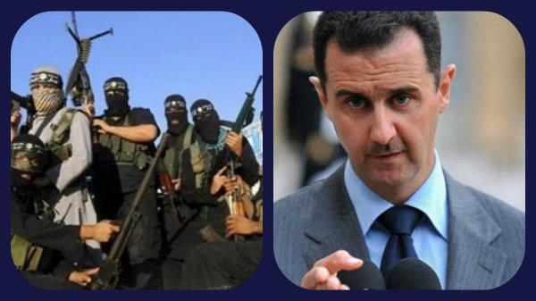 الولايات المتحدة: الأسد مصدر الإرهاب وليس داعش