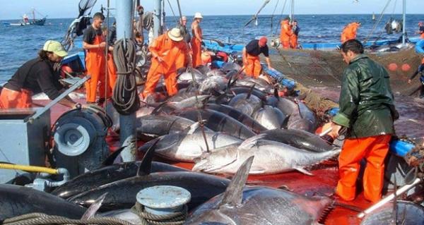 نهاية الجولة الأولى من مفاوضات الصيد البحري بين المغرب وأوروبا وهذه نتائجها