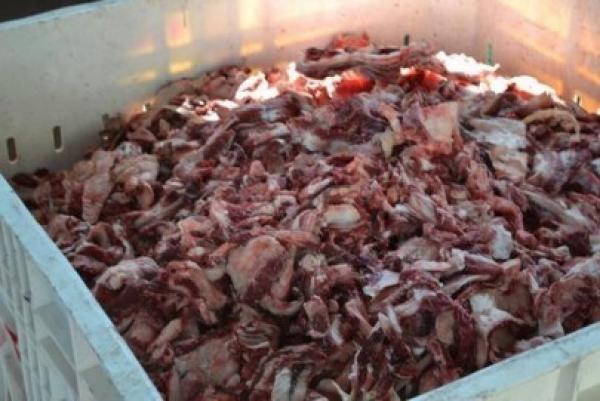 التحقيق في ملف اللحوم الفاسدة يكشف عن مفاجآت من العيار الثقيل