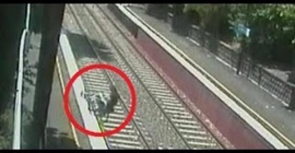 بالفيديو.. رجل يسقط بكرسيه المتحرك على شريط القطار