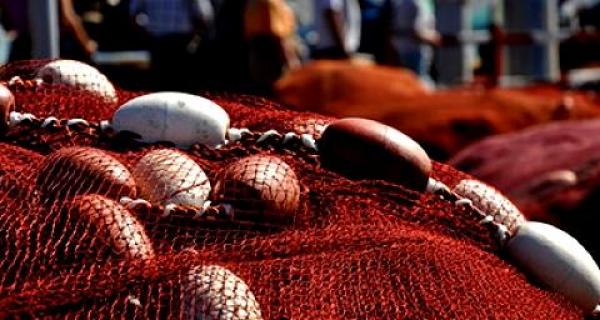 المغرب .. ارتفاع ملموس في تسويق منتوجات الصيد الساحلي والتقليدي 