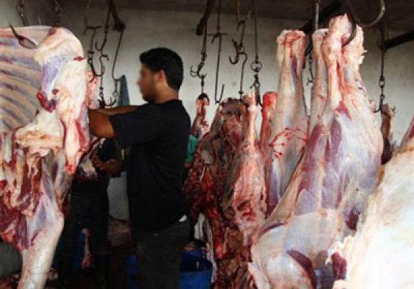 خطير ... أغلب اللحوم التي يتناولها المغاربة مذبوحة داخل مجازر غير معتمدة