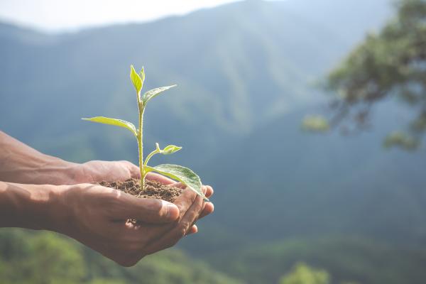 جمعية مدرسي علوم الحياة والأرض بمراكش تنظم النسخة الثالثة لـ"الأسبوع الأخضر 2022 "
