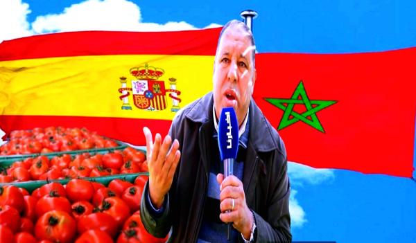 بالفيديو.. أسعار "الطماطم" تعود لتلهب جيوب المغاربة و"مومن" يشير بأصابع الاتهام إلى "التصدير"