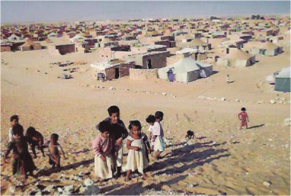 جمعيات مغربية و أجنبية تطلق حملة لإنقاذ الأطفال الصحراويين في المخيمات
