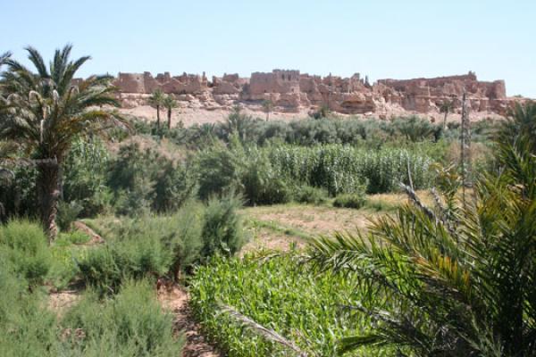 سجلماسة أو أيقونة العصر الوسيط .. حكاية الأطلال التي ستظل شاهدة على عظمة التاريخ والحضارة المغربية