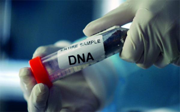 وزارة الصحة تحذر من مخاطر إنجاز تحاليل مطابقة الحمض النووي عبر أحد المواقع الالكترونية