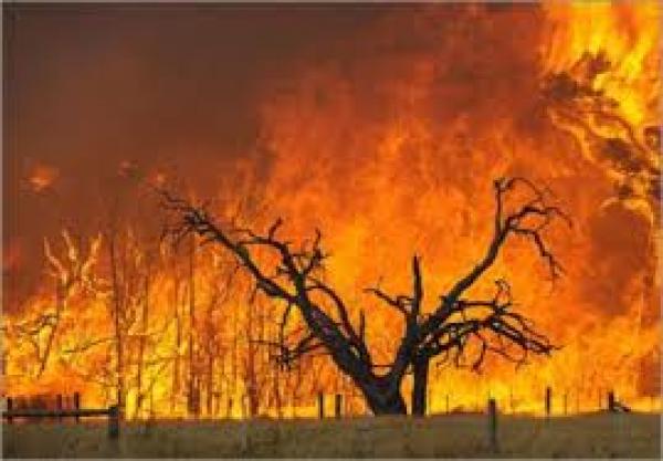 إخماد حريق ضخم ضواحي تطوان أتى على نحو 50 هكتارا من الغابات