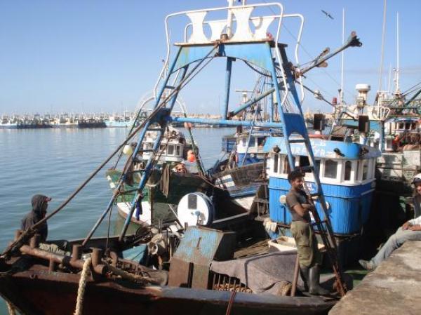 انخفاض نشاط قطاع الصيد البحري بطانطان خلال سنة 2013 بنسبة 38 في المائة