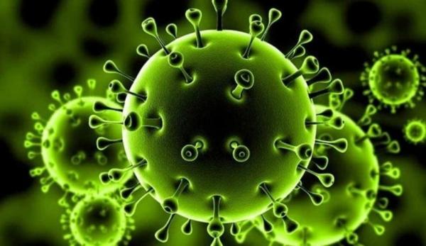 هل المناعة الطبيعية أقوى من المناعة المكتسبة من التطعيم بلقاحات مضادة لكورونا؟