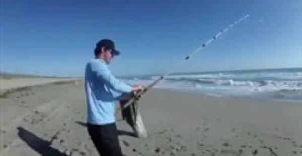 بالفيديو.. أحدث طريقة لصيد سمكة قرش من على الشاطئ