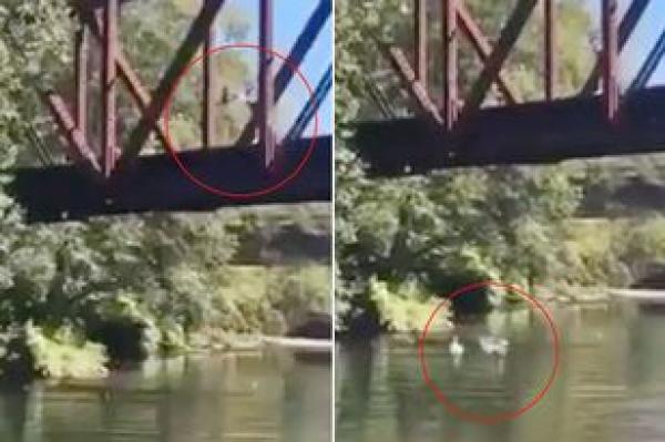 بالفيديو: لحظة إلقاء طفل من فوق جسر