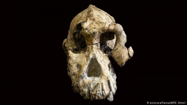إثيوبيا: اكتشاف جمجمة لأسلاف الإنسان عمرها نحو أربعة ملايين عام