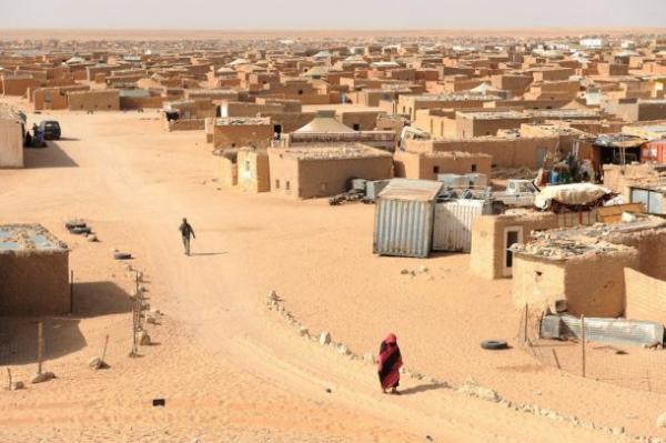 صحراويون يخيرون الجزائر بين منحهم بطائق اللجوء أو البحث عنها في بلاد أخرى