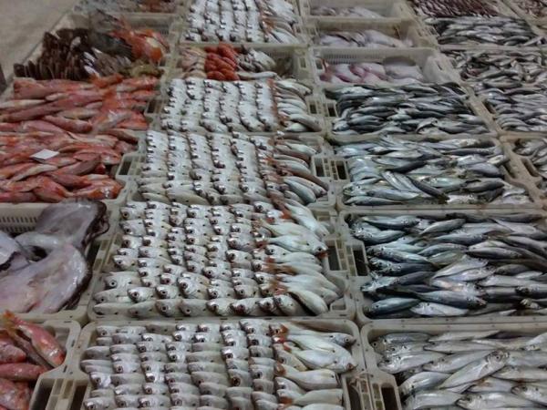 القضية فيها إنَّ.. إنذار غذائي جديد بإسبانيا بسبب شحنة أسماك مستوردة من المغرب