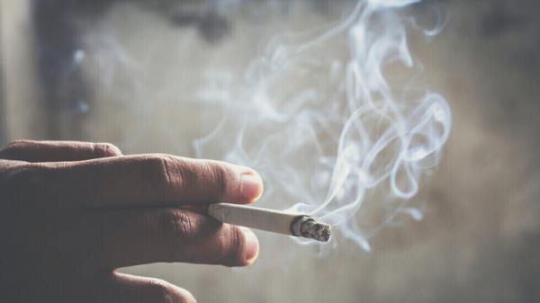 دراسة تحذر:التدخين يؤدي إلى انكماش للدماغ قد يتسبب في الخرف
