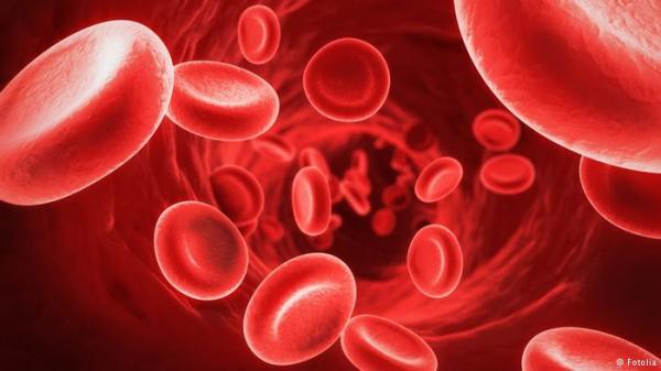 دراسة: في الدم أجسام مضادة تقي من تصلب الأوعية الدموية