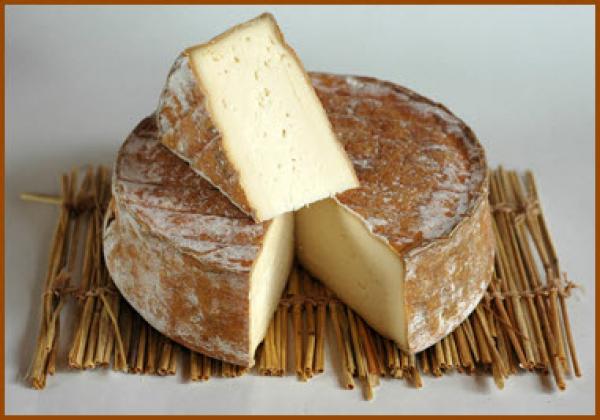 البشرية عرفت صناعة الجبن منذ أكثر من 8 الاف سنة