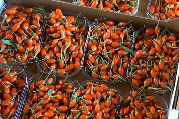 فاكهة العرقل "السحرية" الصينية تصل إلى الأسواق المغربية وهذه أهم منافعها العلاجية