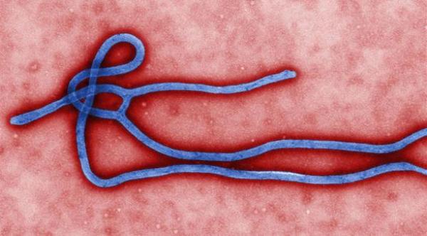 أعراض إيبولا وفترة حضانة الفيروس