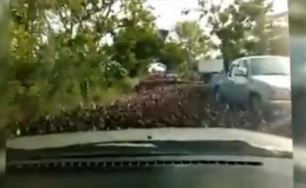 بالفيديو: البط يستولي على طريق ريفي ويوقف السير