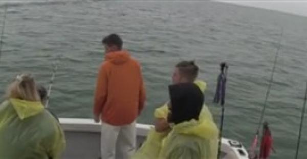 بالفيديو.. قرش ضخم يقفز من الماء لسرقة سمكة من صياد