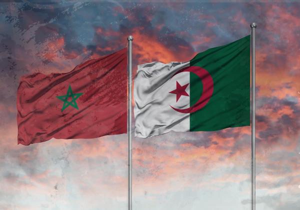 بلغة صريحة الأمين العام للأمم المتحدة "يستنكر تدخل الجزائر في الشؤون الداخلية للمغرب"