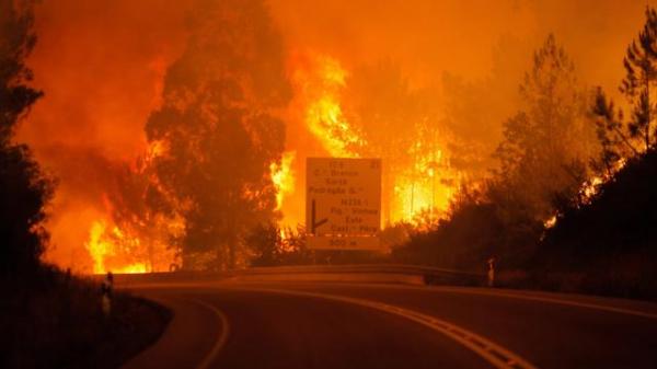 بالفيديو: حريق غابوي مهول يخلف 57 قتيلا بالبرتغال بحسب حصيلة جديدة