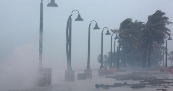 الأرصاد الجوية توضح تفاصيل إعصار "أوفيليا" الذي يقترب من السواحل الغربية للمملكة