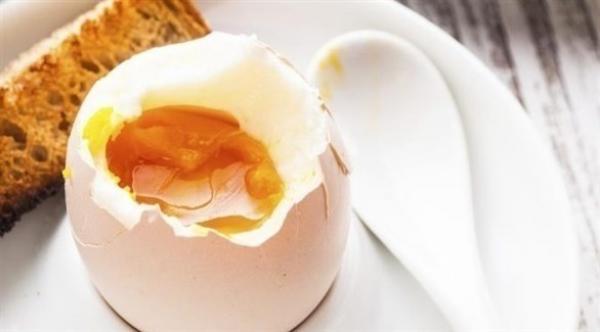 كم بيضة يمكنك أن تأكل في اليوم لإنقاص الوزن؟