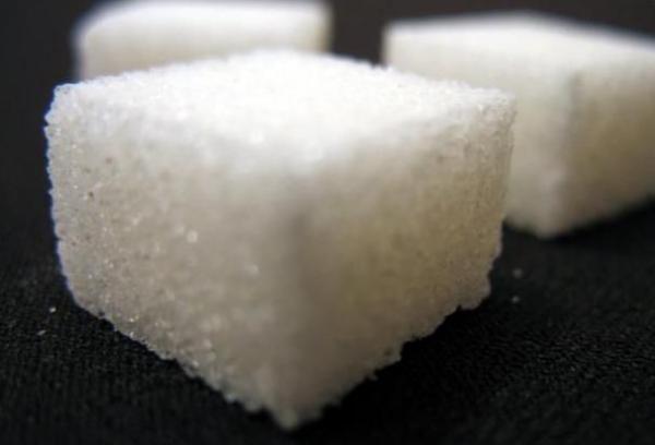 تحسين إنتاجية السلسلة السكرية سيرفع نسبة تغطية الحاجيات الوطنية من مادة السكر