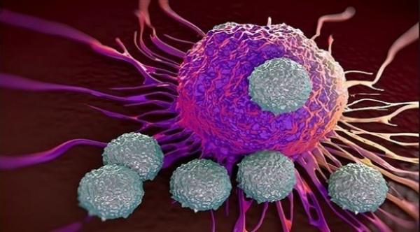 خلايا سرطانية تلتهم مثيلاتها للتغلب على العلاج الكيميائي