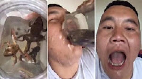 بالفيديو: صيني يشرب إبريق ماء تسبح فيه الضفادع