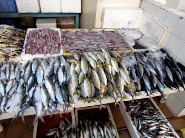 تقرير أسود يفضح تورط مافيات في ارتفاع أسعار السمك خلال رمضان