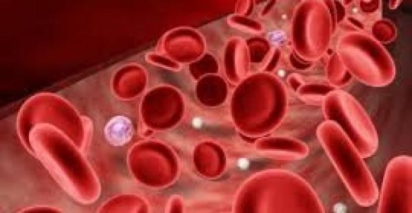 أعراض أنيميا فقر الدم وطرق العلاج