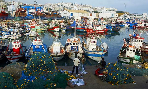 تهيئة ميناء أصيلة، نحو تعزيز نشاط الصيد البحري بالساحل الشمالي