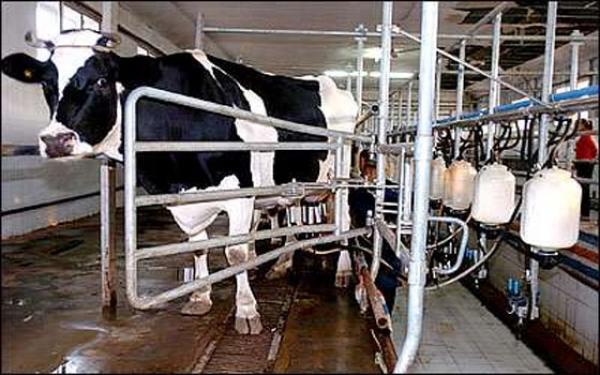 الدار البيضاء... التوقيع على ثلاث اتفاقيات تهم تطوير سلاسل اللحوم والحليب