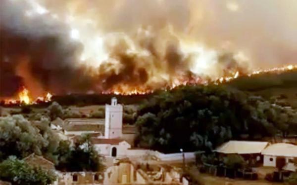 النيران لازالت تستعر بغابات "مولاي عبد السلام" والسلطات المغربية تستنجد بالجيش
