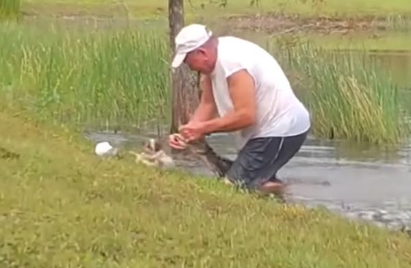 بالفيديو.. رجل يصارع تمساحاً انقض على كلب ويخلصه من بين فكيه بالقوة