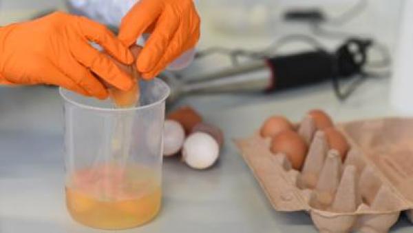 فرنسا تعلن عن لائحة جديدة للمنتوجات المسحوبة من الأسواق بسبب "البيض الملوث"