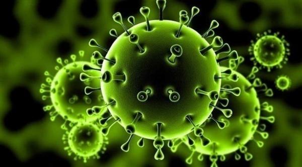 بلجيكا تحصي أزيد من 15 ألف حالة شفاء من فيروس كورونا
