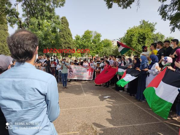 بالفيديو والصور: مدينة فاس تحتج ضد الاعتداءات الإسرائيلية على غزة وتتضامن مع الفلسطينيين