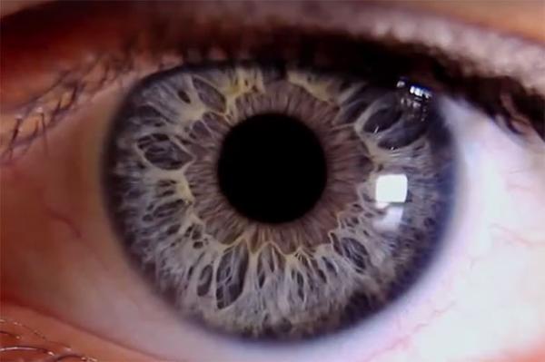 التوتر والإجهاد يساهمان في موت خلايا العقدة الشبكية في العين